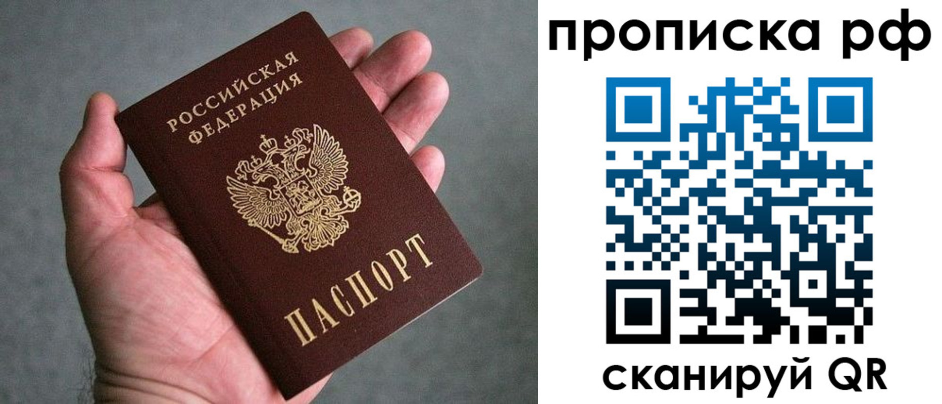 прописка поиск в Орловской области